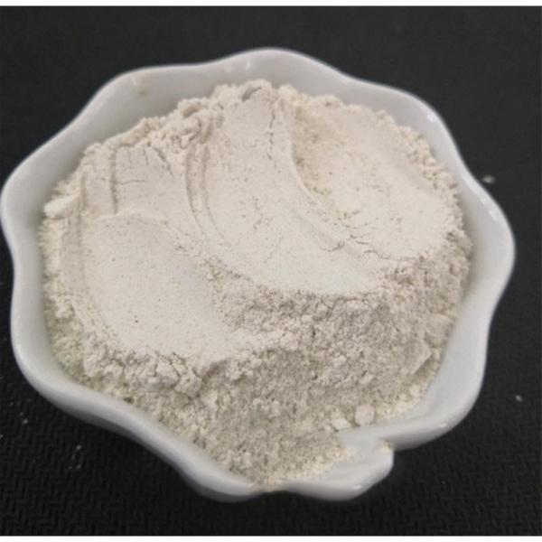 Humic Acid Soil Conditioner Humizone Potassiun Humate Flake/Powder/Granule #2 image